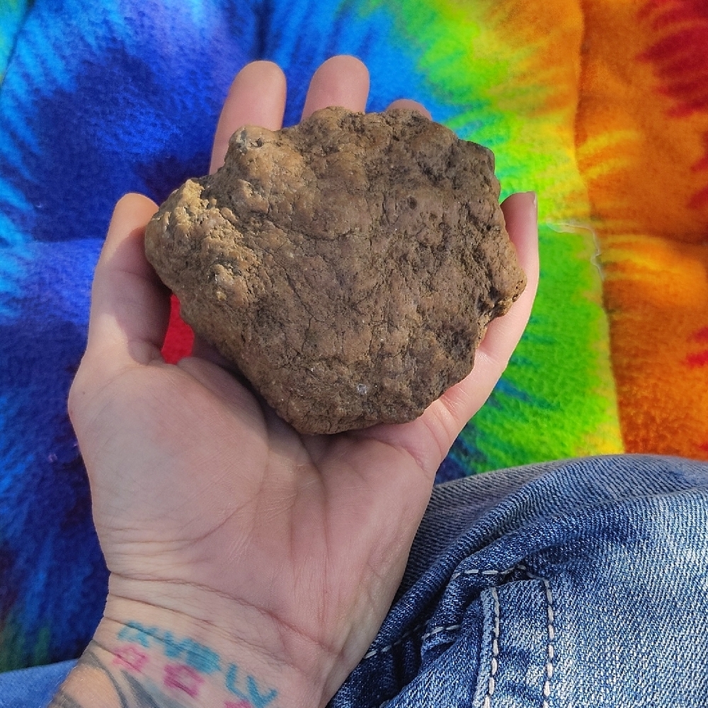 Geodes Natural Brown Rocks Collection - Picture 3 of 5